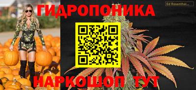 jwh Сланцы